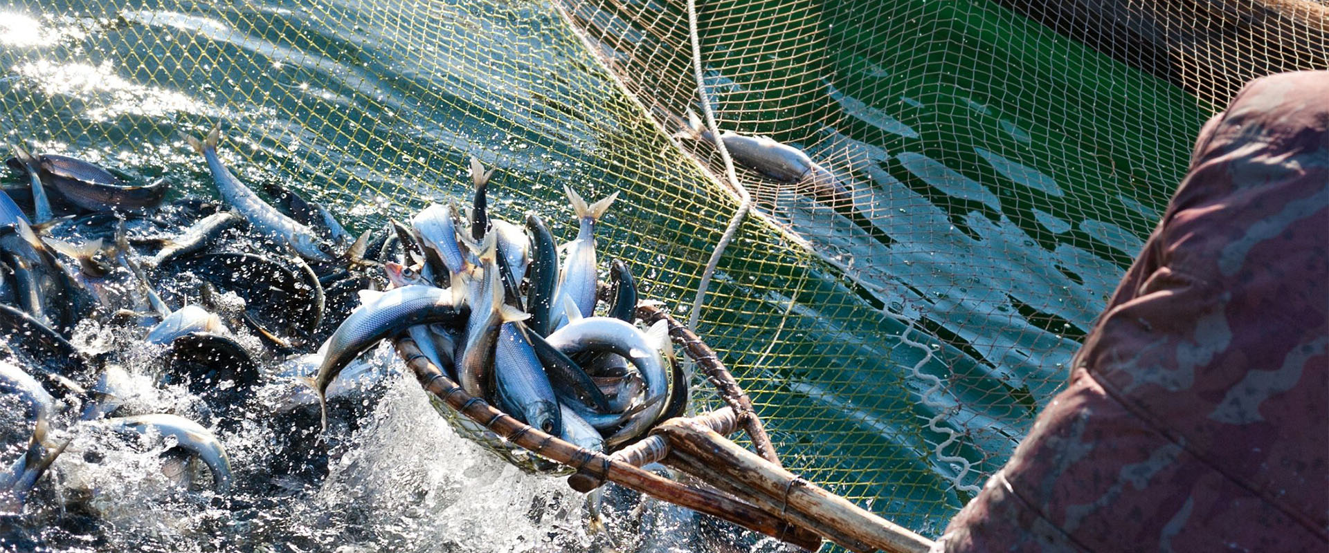 節(jié)能省電 風險降低